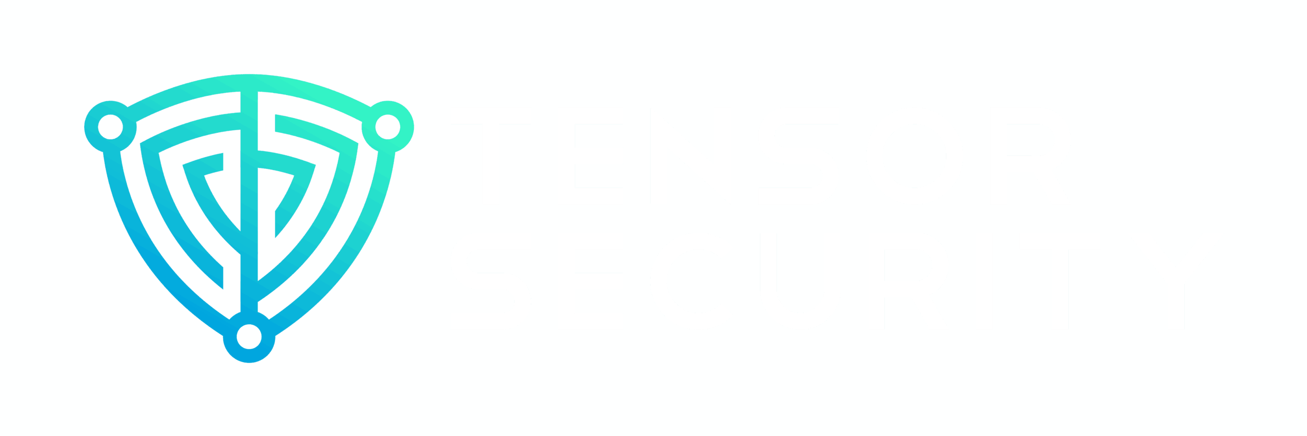 Tensor Security