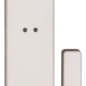 Shock sensor with reed