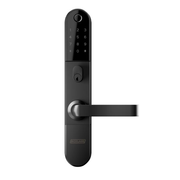 Schlage Omnia Smart Lock Only, Black
