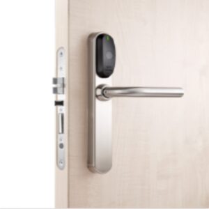 Salto XS4 Double Reader Mifare / Desfire, 40-50mm Doors